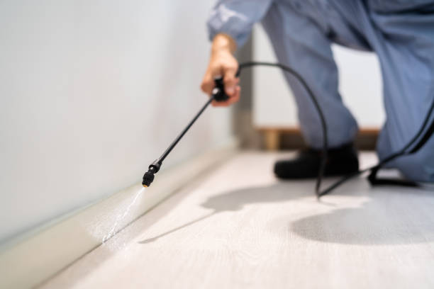 Licensed Pest Control service in Pleasant Prairie, WI - Show Me Pest Control