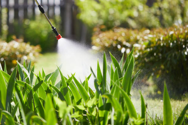 24/7 Emergency Mosquito Control experts in Pleasant Prairie, WI
